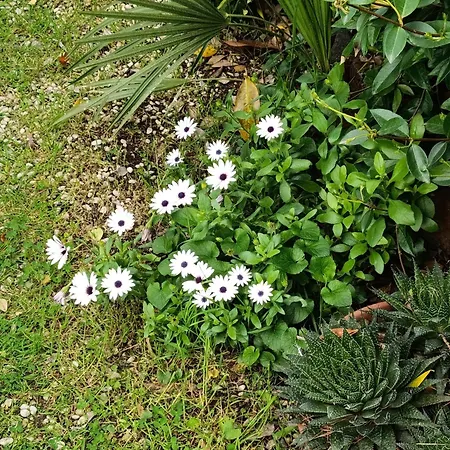 Casa Dei Laghi Apartment