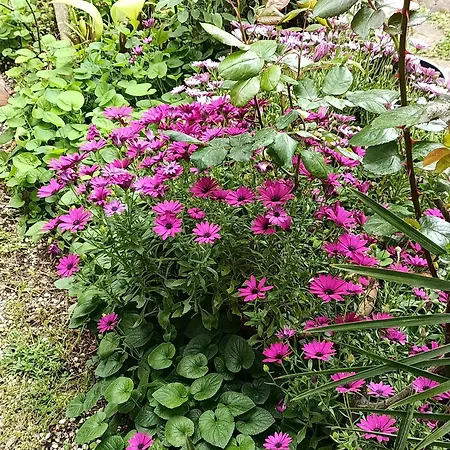 Apartamento Casa Dei Laghi *