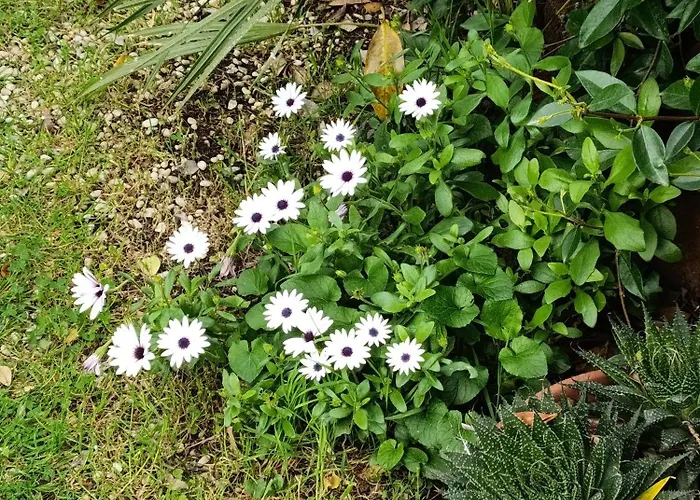 Casa Dei Laghi Lägenhet