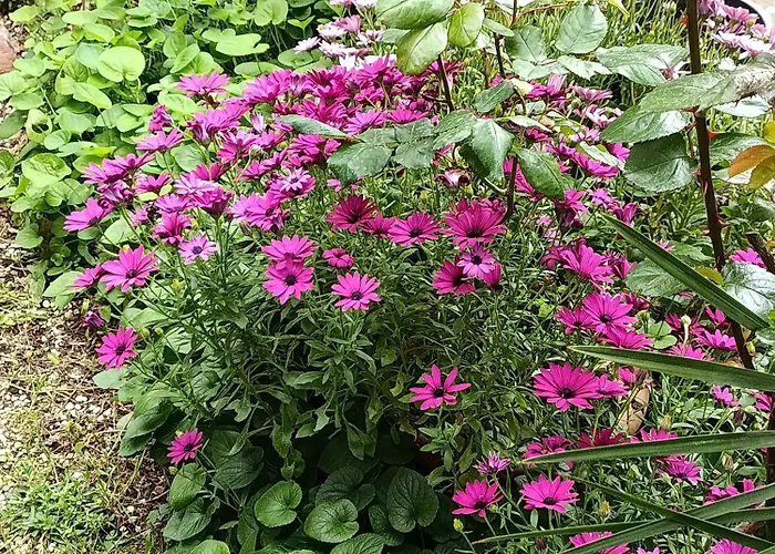 Lägenhet Casa Dei Laghi *